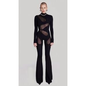 I am Not Basic Destiny Black Mesh long Sleeve Jumpsuit